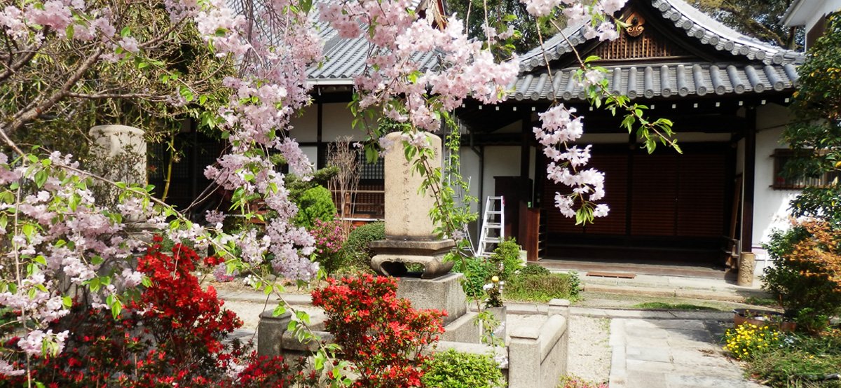 淨國寺のお墓について