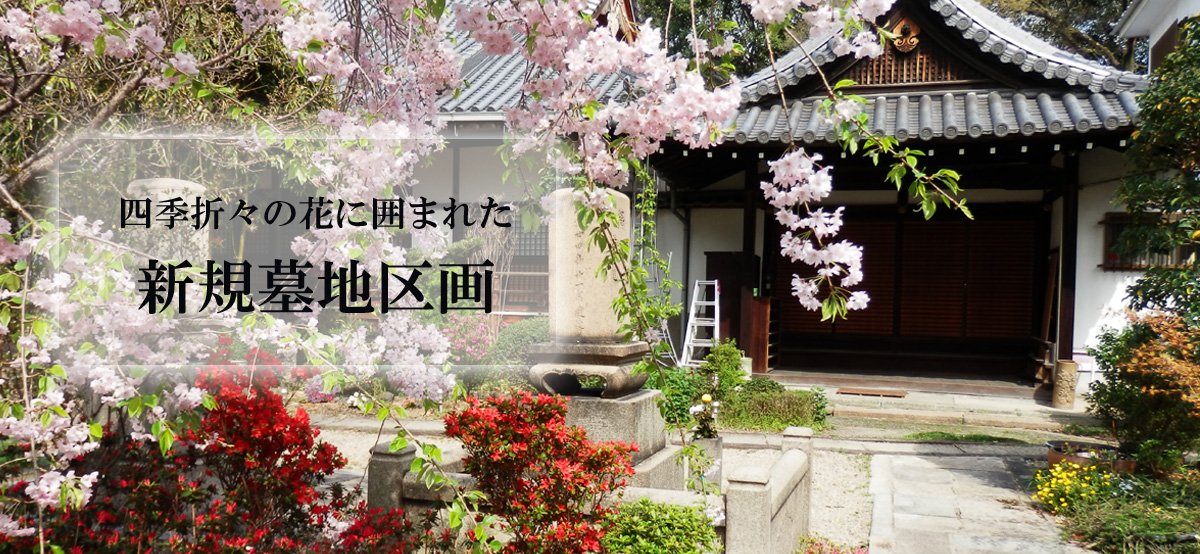 淨國寺のお墓について