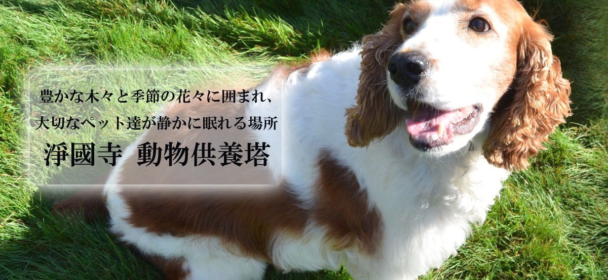ペット供養について